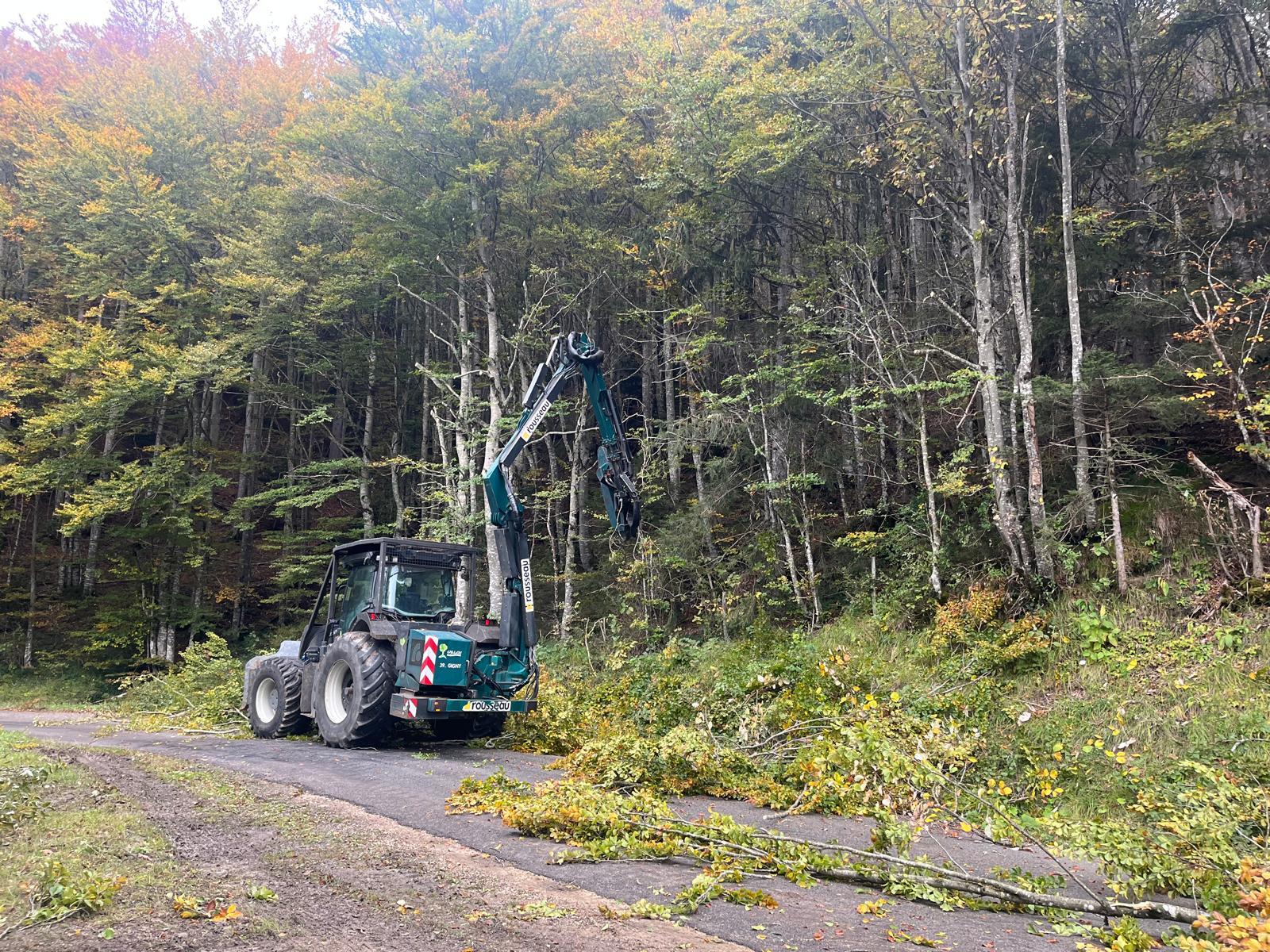 Taille au lamier dans le Jura — SAS POLYVIER